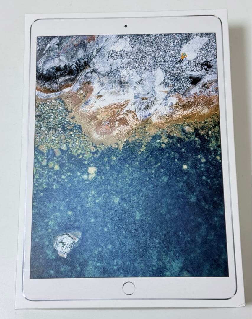 iPad pro 10.5インチ　256GB Wi-Fi+Cellularモデル