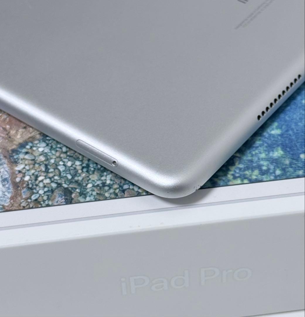 iPad pro 10.5インチ　256GB Wi-Fi+Cellularモデル
