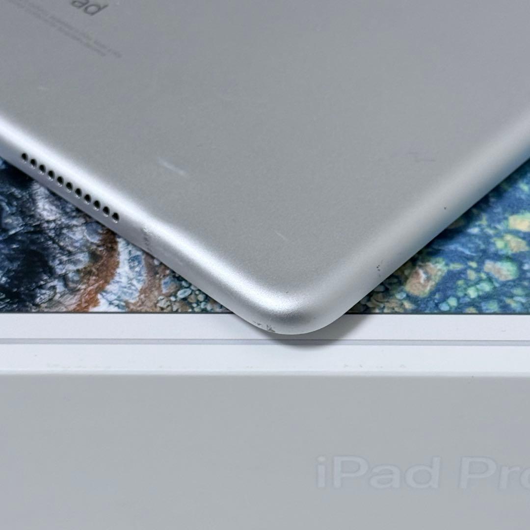 iPad pro 10.5インチ　256GB Wi-Fi+Cellularモデル