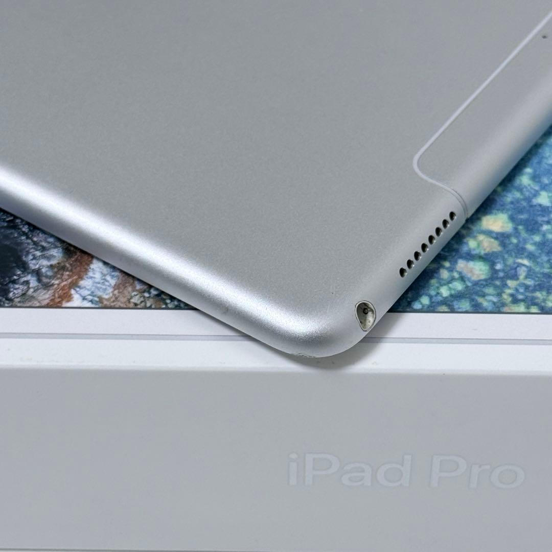 iPad pro 10.5インチ　256GB Wi-Fi+Cellularモデル