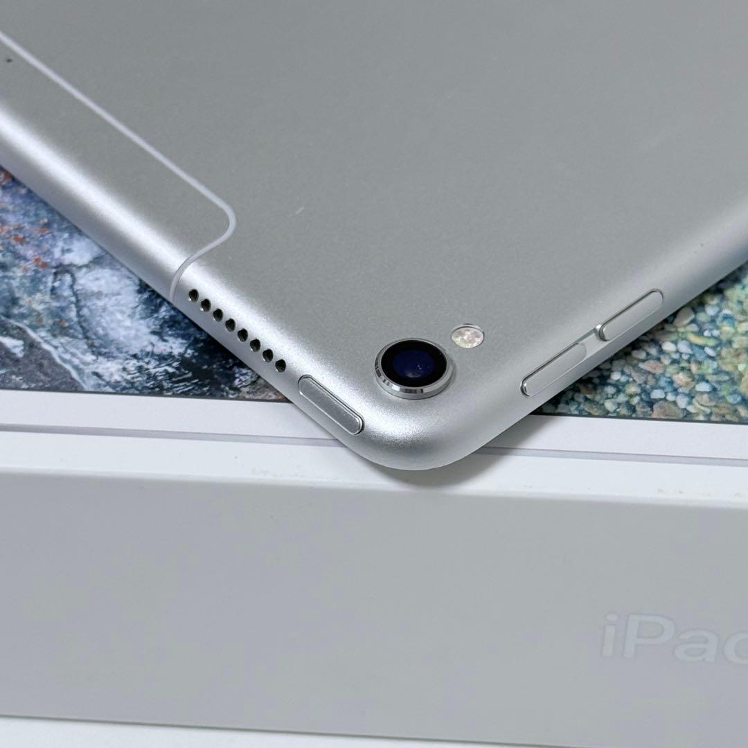 iPad pro 10.5インチ　256GB Wi-Fi+Cellularモデル