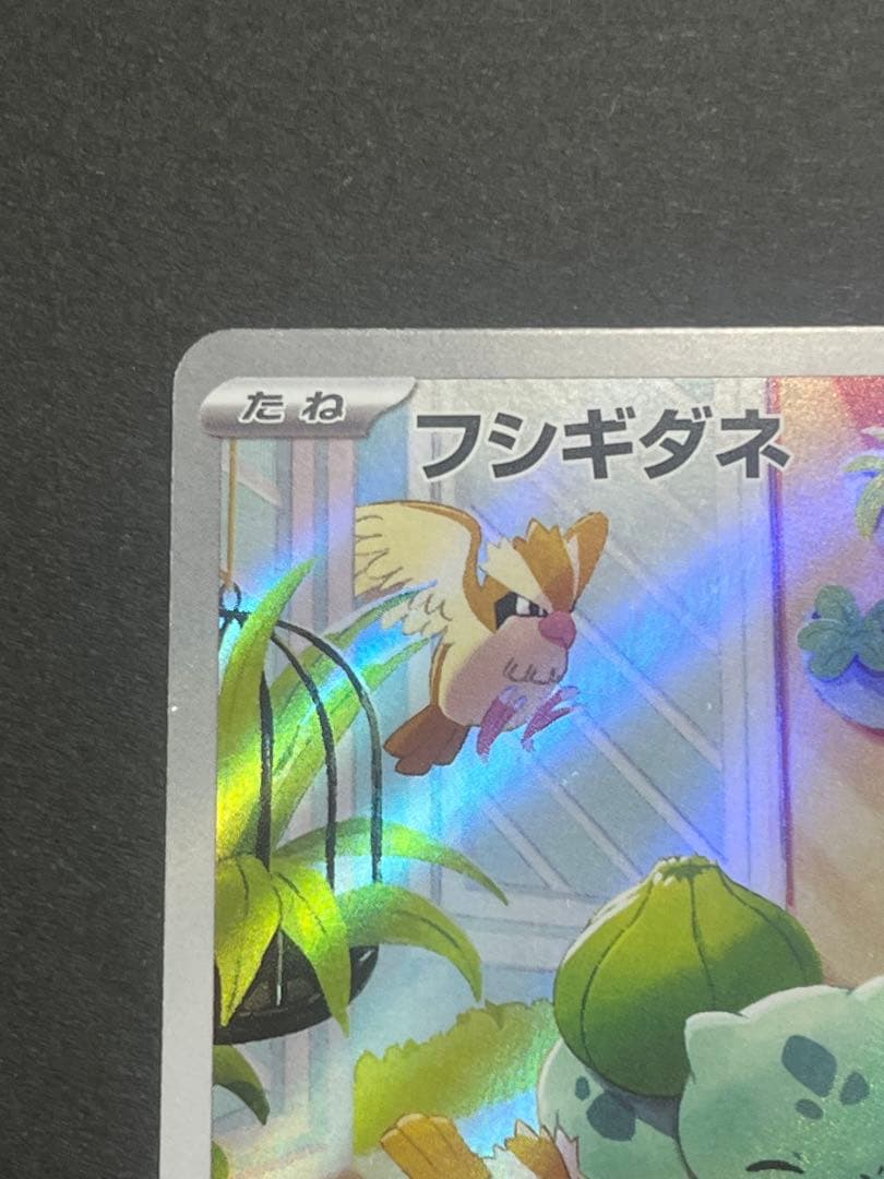 フシギダネAR スペシャルデッキセットex プロモ