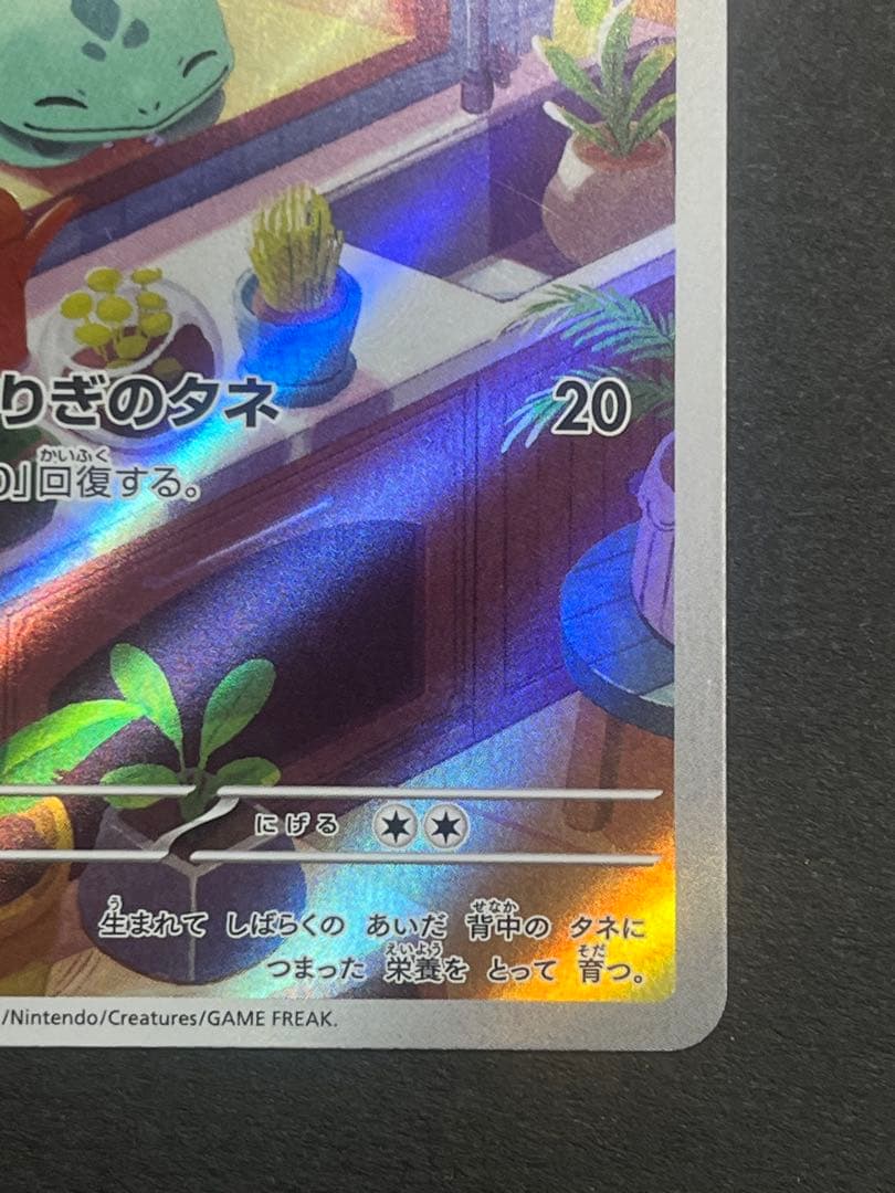 フシギダネAR スペシャルデッキセットex プロモ