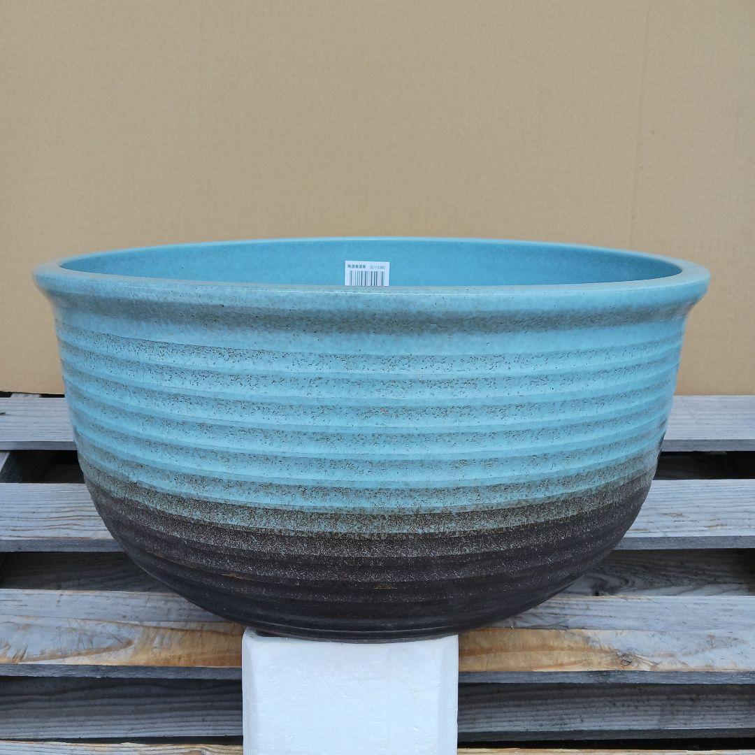 新品　特大52x49　陶器　睡蓮鉢　難有　メダカ鉢　水色　ブルー　ルーバーLWC