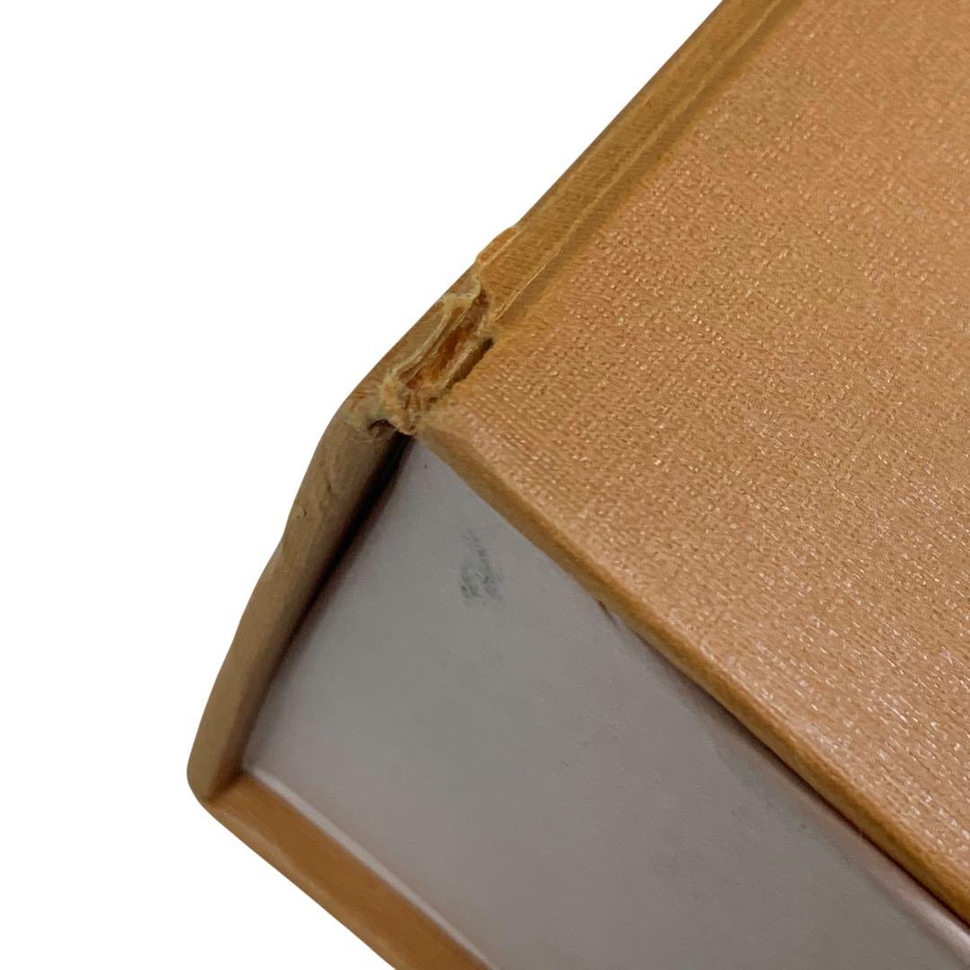 新品未使用品 LOUISVUITTON ルイヴィトン バスタオル モノグラム