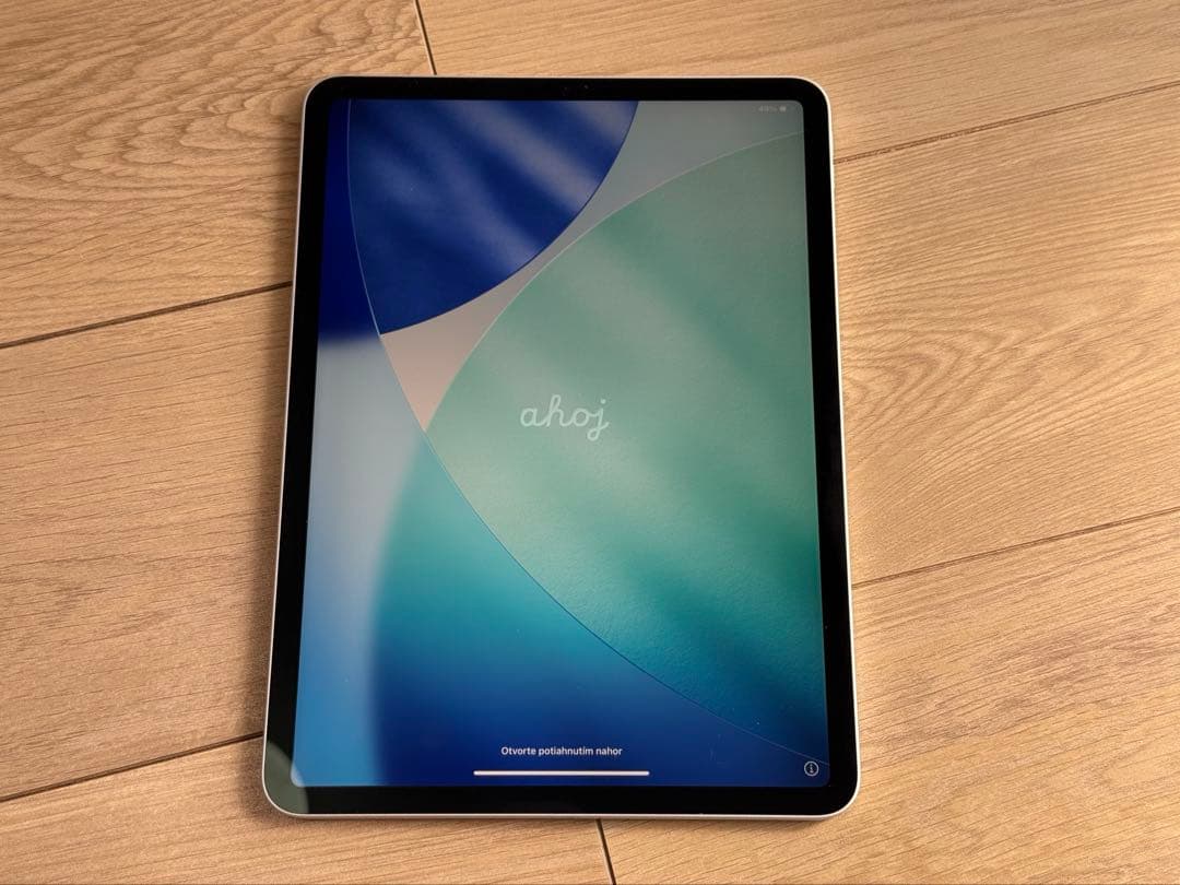 ipad pro 11インチ　第一世代　64GB Wi-Fi版