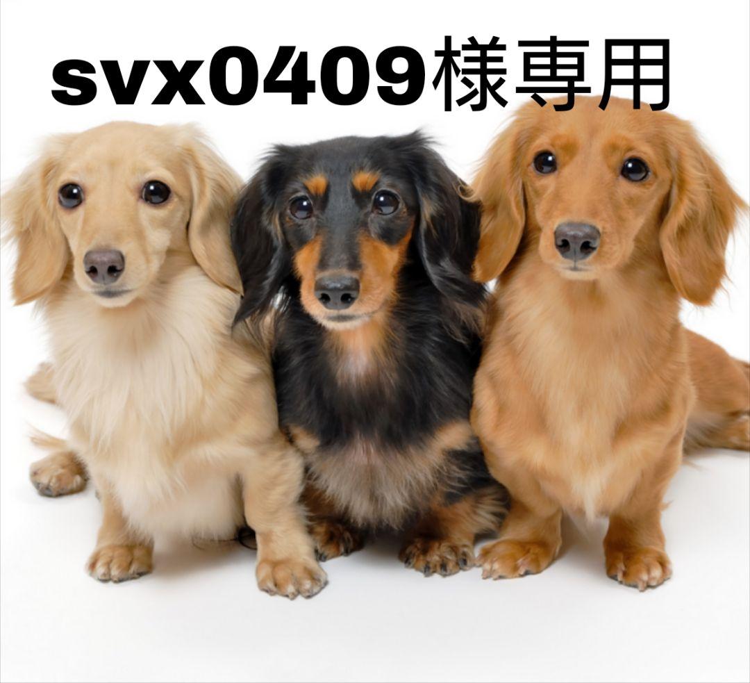 svx0409 ポケモンカード デッキシールド スリーブ 147枚