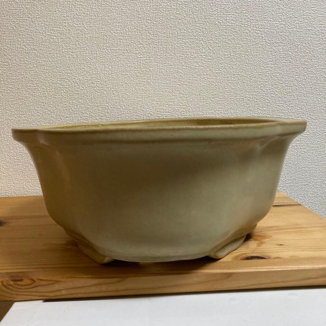 鴻陽鉢