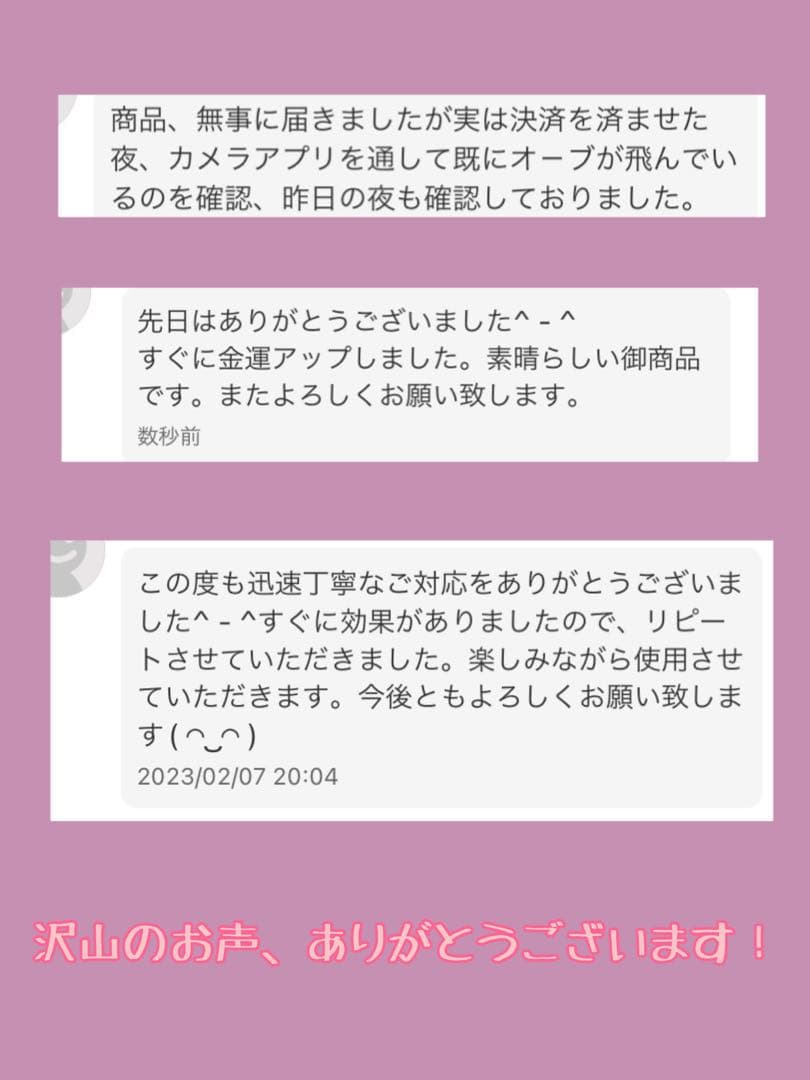 座敷童子 最高位チョウピラコ宿る ヒーリング 健康 癒し 幸福霊石