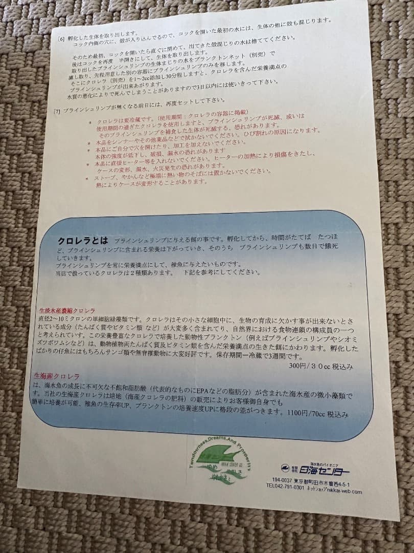 ＜クマノミ繁殖セット＞　日海センター　産卵　繁殖