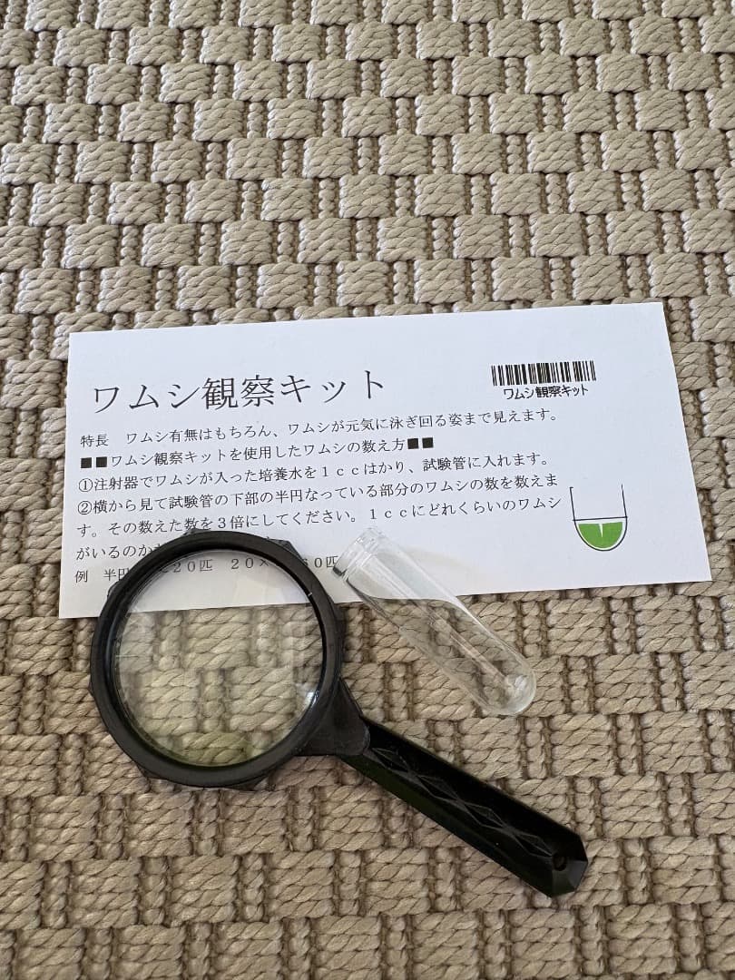 ＜クマノミ繁殖セット＞　日海センター　産卵　繁殖