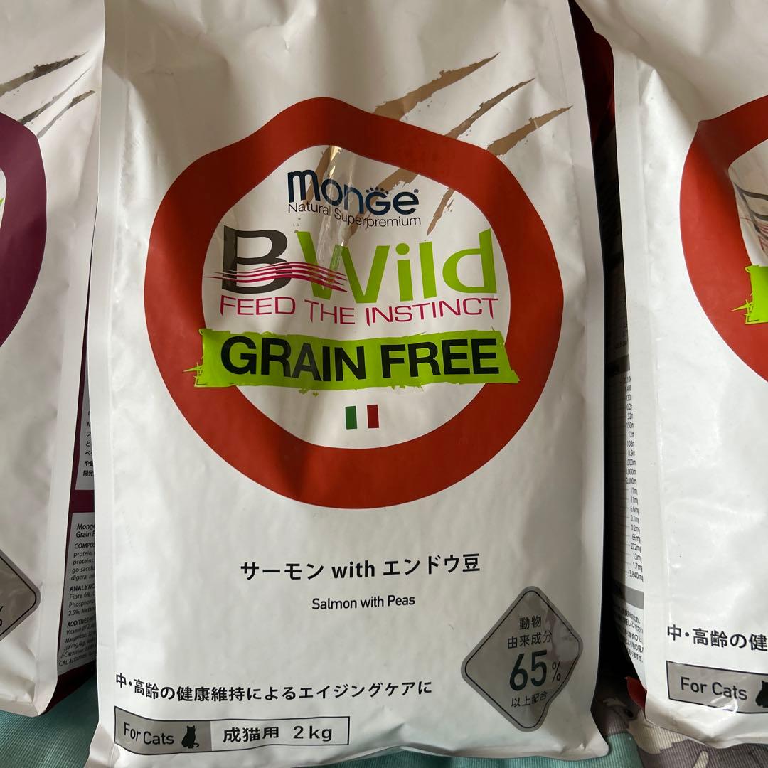 Monge B-Wild グレインフリー キャットフード 2kg 3袋セット