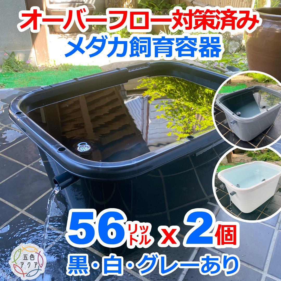 メダカ飼育ケース 56㍑x2個 白黒灰あり オーバーフロー 金魚飼育容器 睡蓮