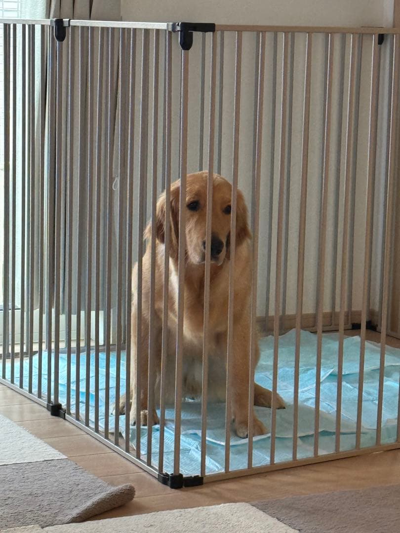 ニトリ 犬用コーナー型ケージ