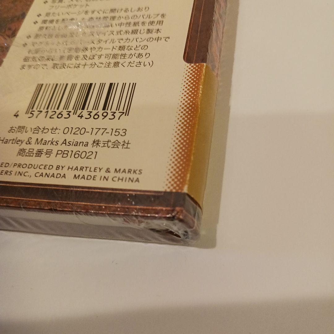 paperblanks エスニックデザイン ノート ミディ2冊セット