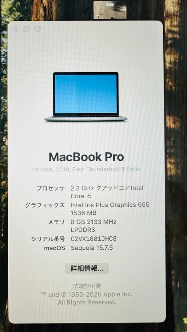 MacBook本体 Mac book pro 13-inch 2018