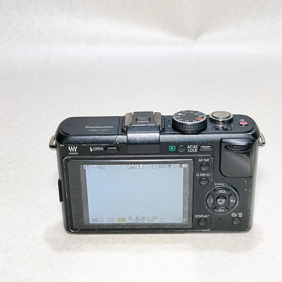 デジタルカメラ Panasonic LUMIX DMC-GF1 #3125