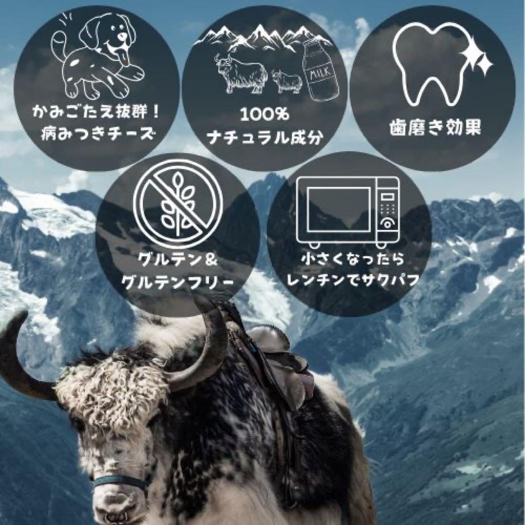 お得販売中　ヤクチーズ　(30gx18本)