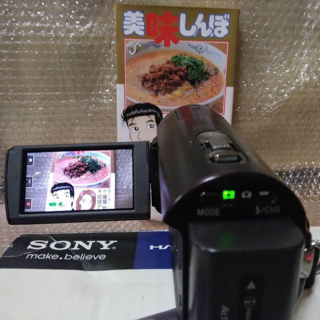 「美品」HDR-CX370V 64GB フルHD ボルドーブラウン