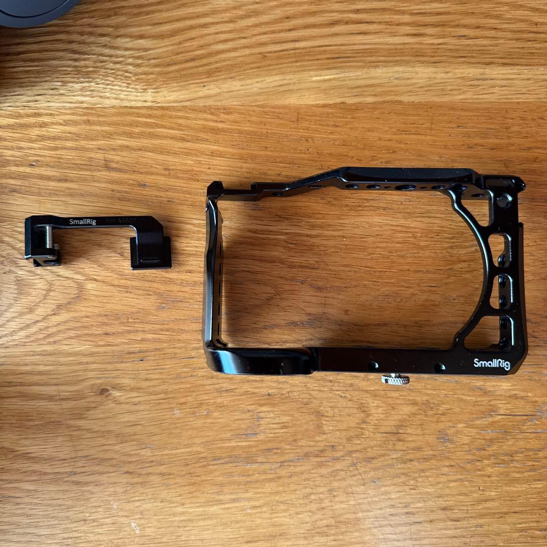 SONY α6600