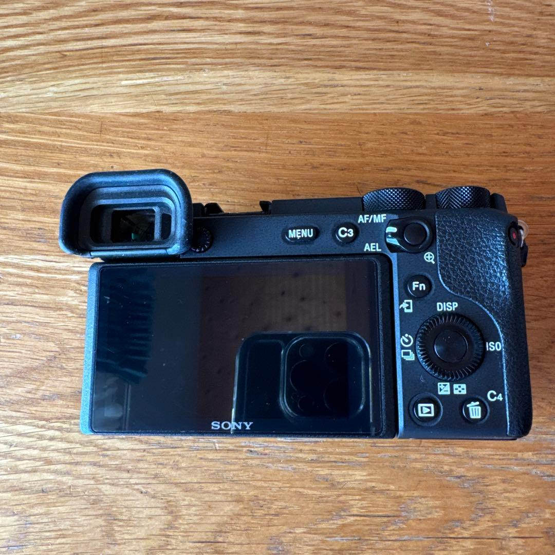 SONY α6600