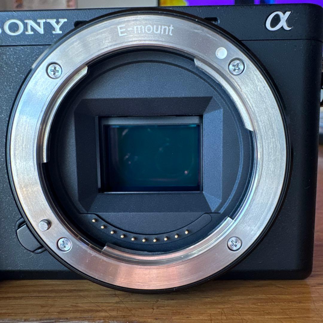 SONY α6600