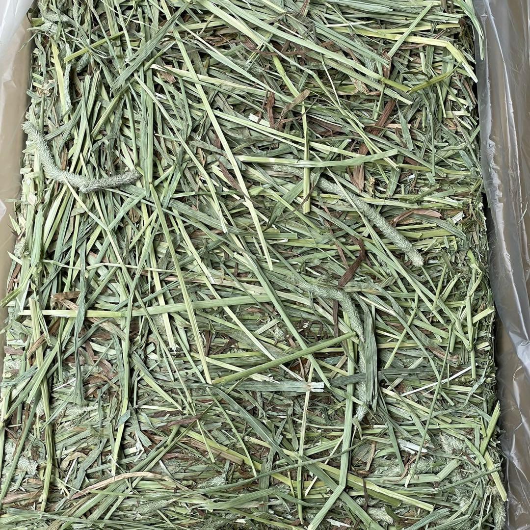 ★新着 チモシー29kg 新物◼︎プレミアム1番刈 ペットフード うさぎ 牧草