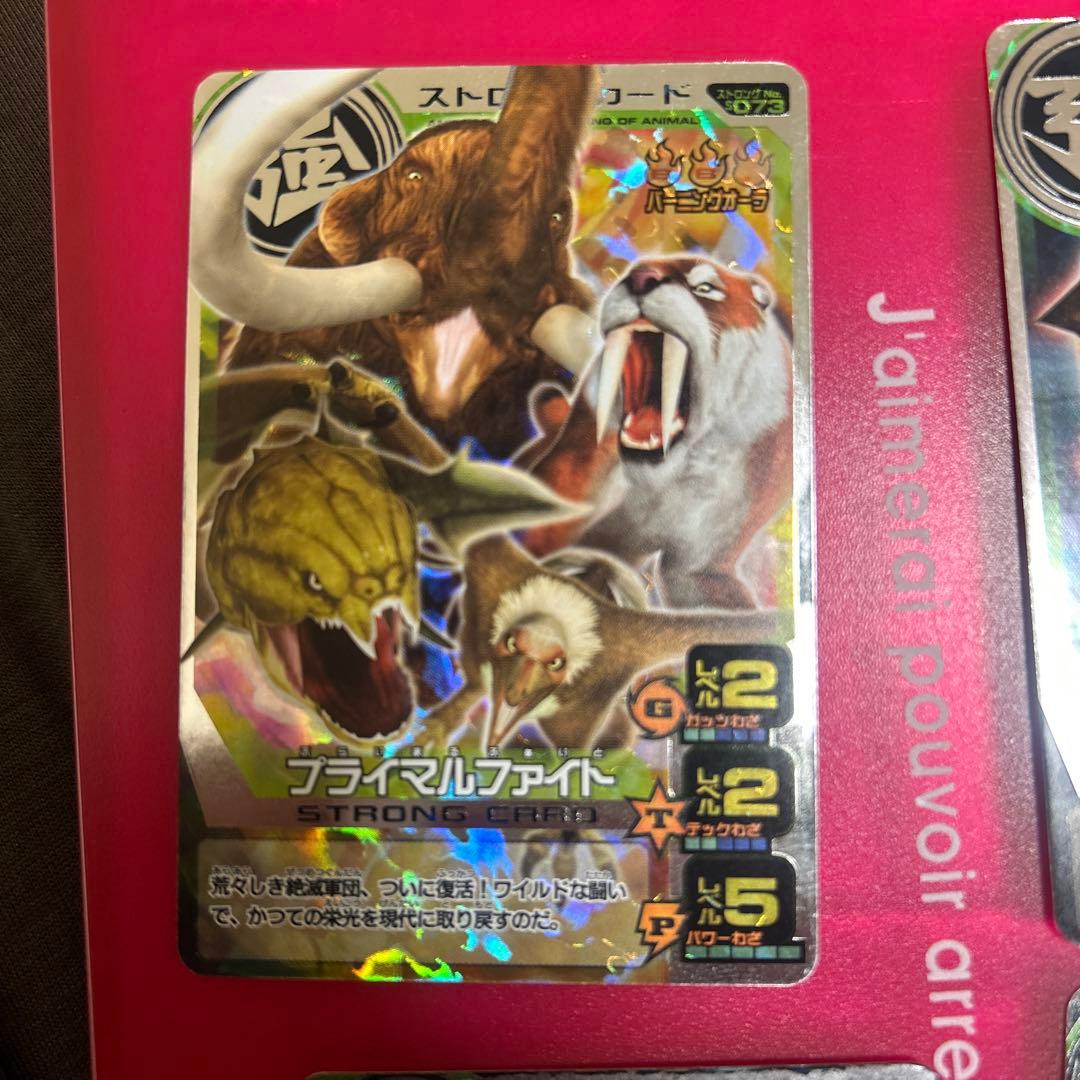 百獣大戦アニマルカイザー ガレオン ゴルザード ラタトスク