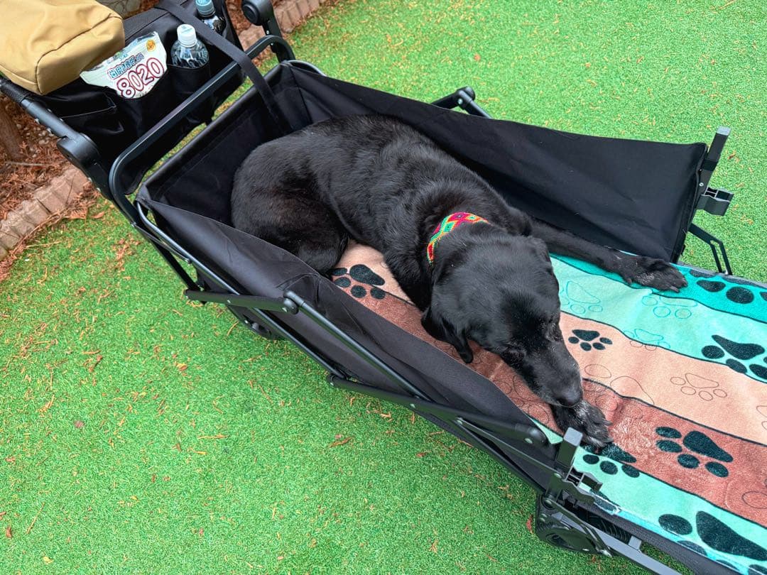 Cavoyo 犬用カート 大容量 耐荷重73kg 高齢犬ペットカート　折り畳み式