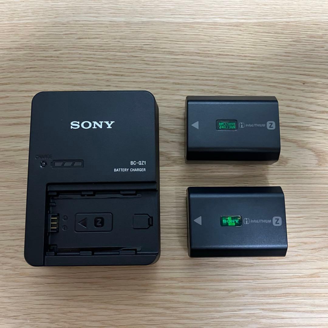 【撮影枚数9,254枚】SONY α7 III ILCE-7M3 付属品多数
