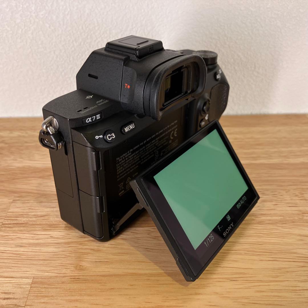【撮影枚数9,254枚】SONY α7 III ILCE-7M3 付属品多数
