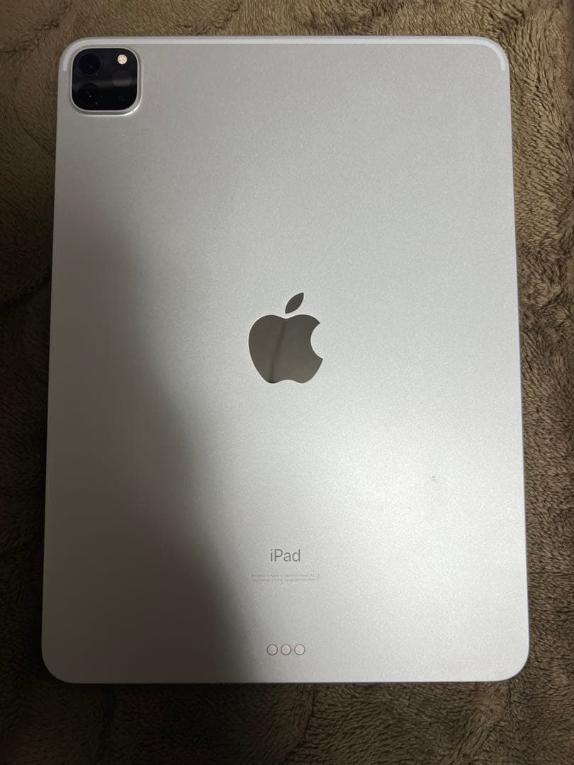 iPad Pro (11インチ) (第2世代) 512GB