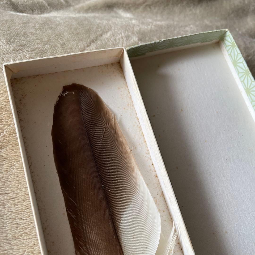 灰手前用　羽箒　鷹　表千家　茶道具　炉　風炉