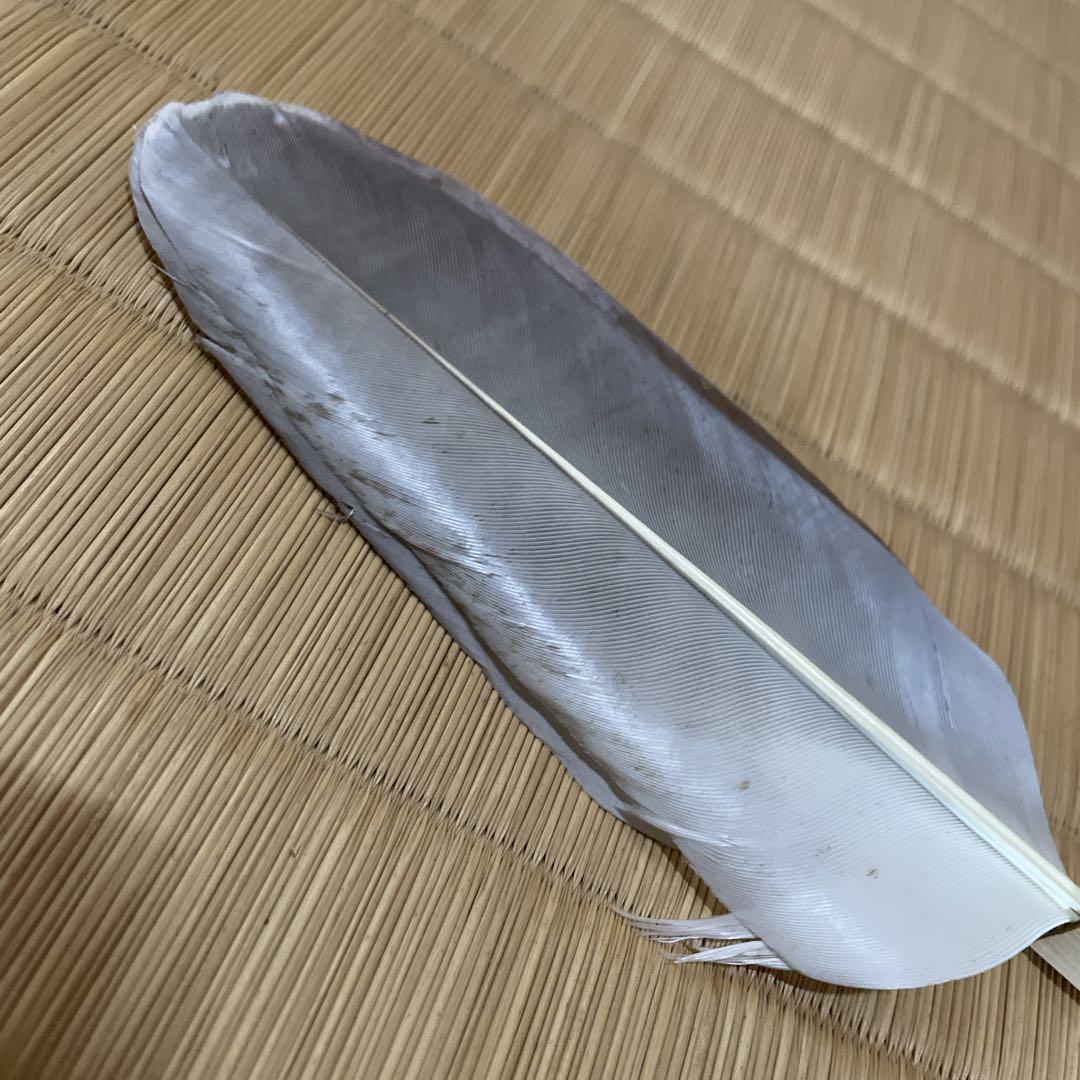 灰手前用　羽箒　鷹　表千家　茶道具　炉　風炉