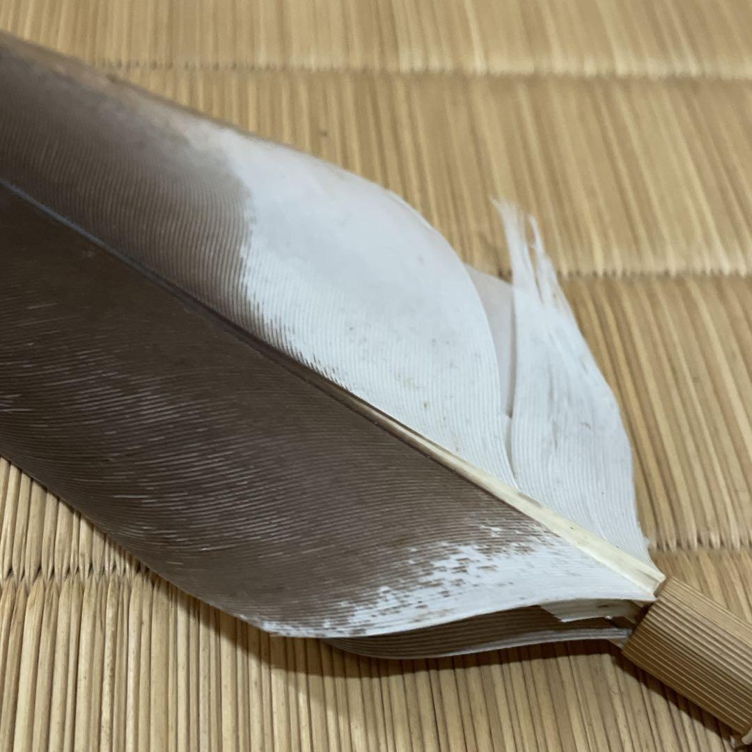 灰手前用　羽箒　鷹　表千家　茶道具　炉　風炉