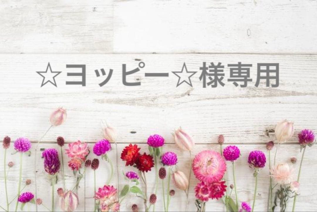 ☆ヨッピー☆