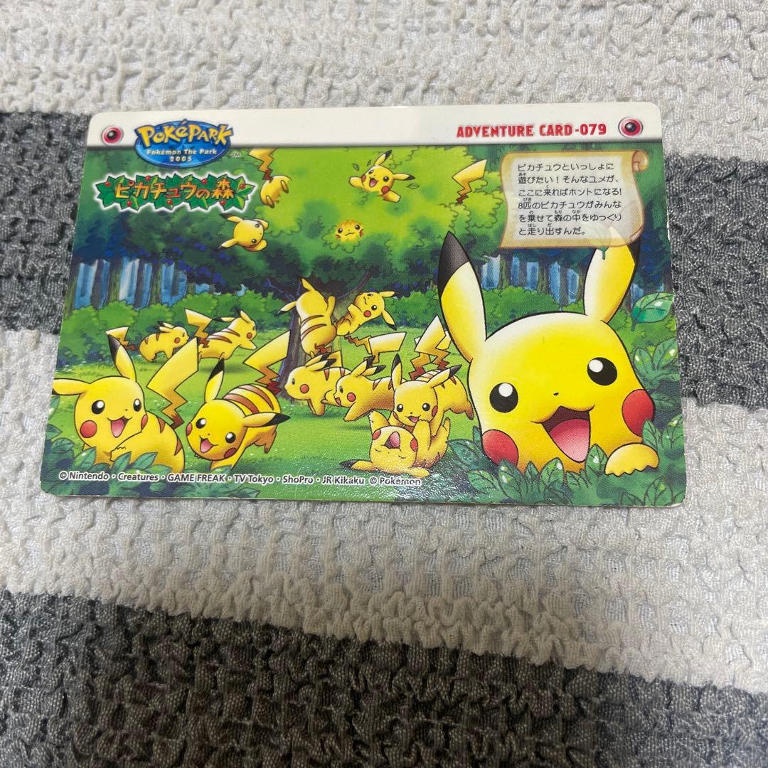 ポケモン ポケパーク ピカチュウの森 カードダス