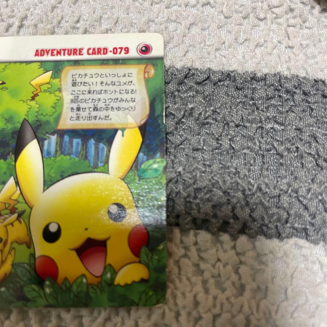 ポケモン ポケパーク ピカチュウの森 カードダス