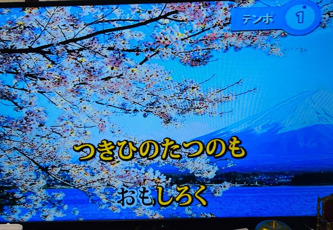 カラオケ1番 夢グループ サブマイク付き