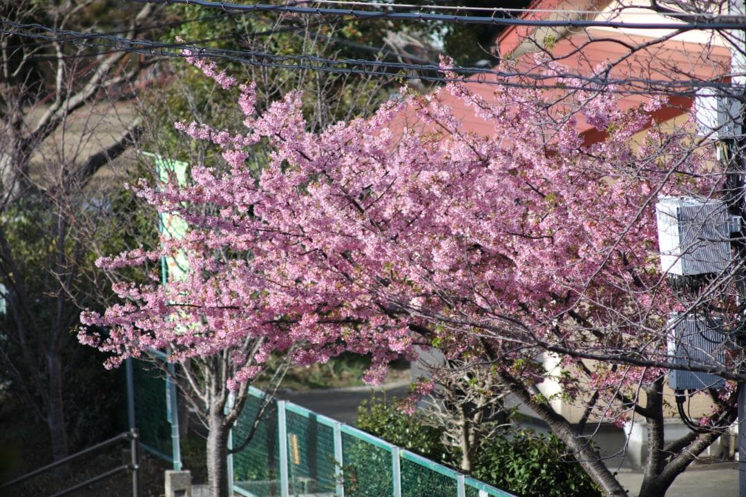 レンズ(単焦点) SMC PENTAX-M 400mm F5.6 #7984