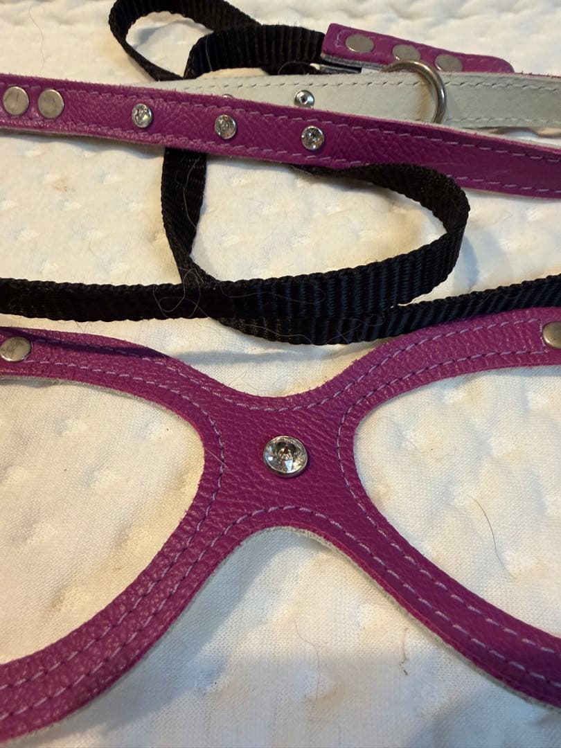 Buddy Belts パープル ハーネス