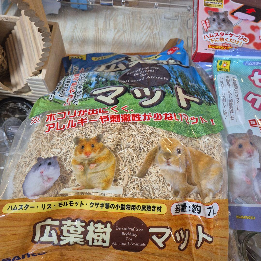 超お得！ハムスター飼育セット