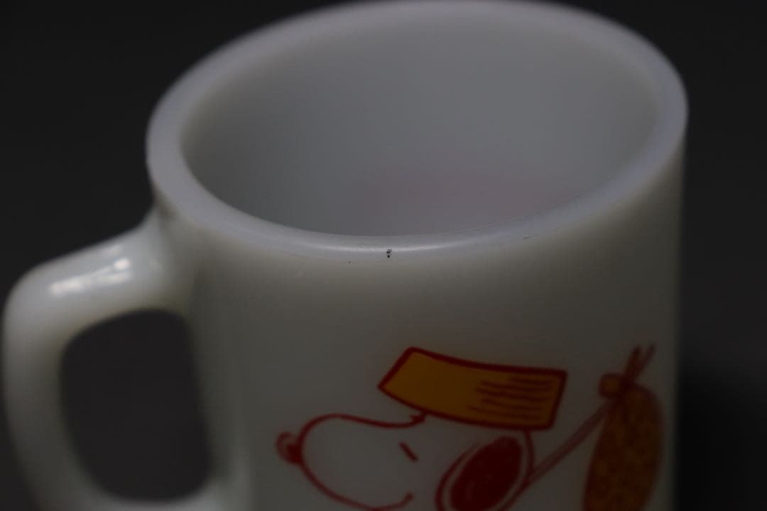 ファイヤーキング　スヌーピー　カムホーム