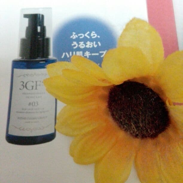 3GFsa(スリージーエフ・エスエイ)