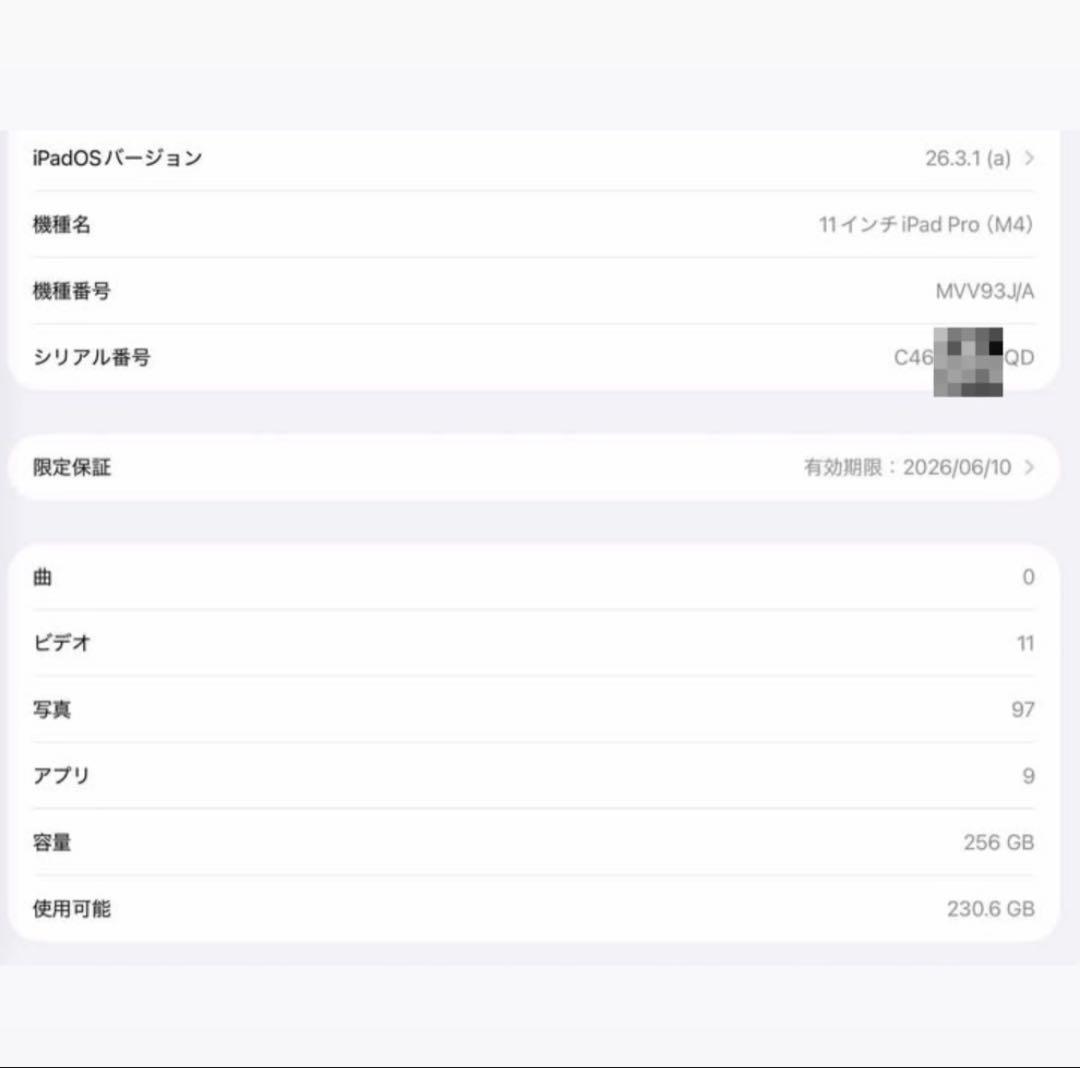 2024 M4 iPad Pro 11インチ 256GB Wifi +カバー