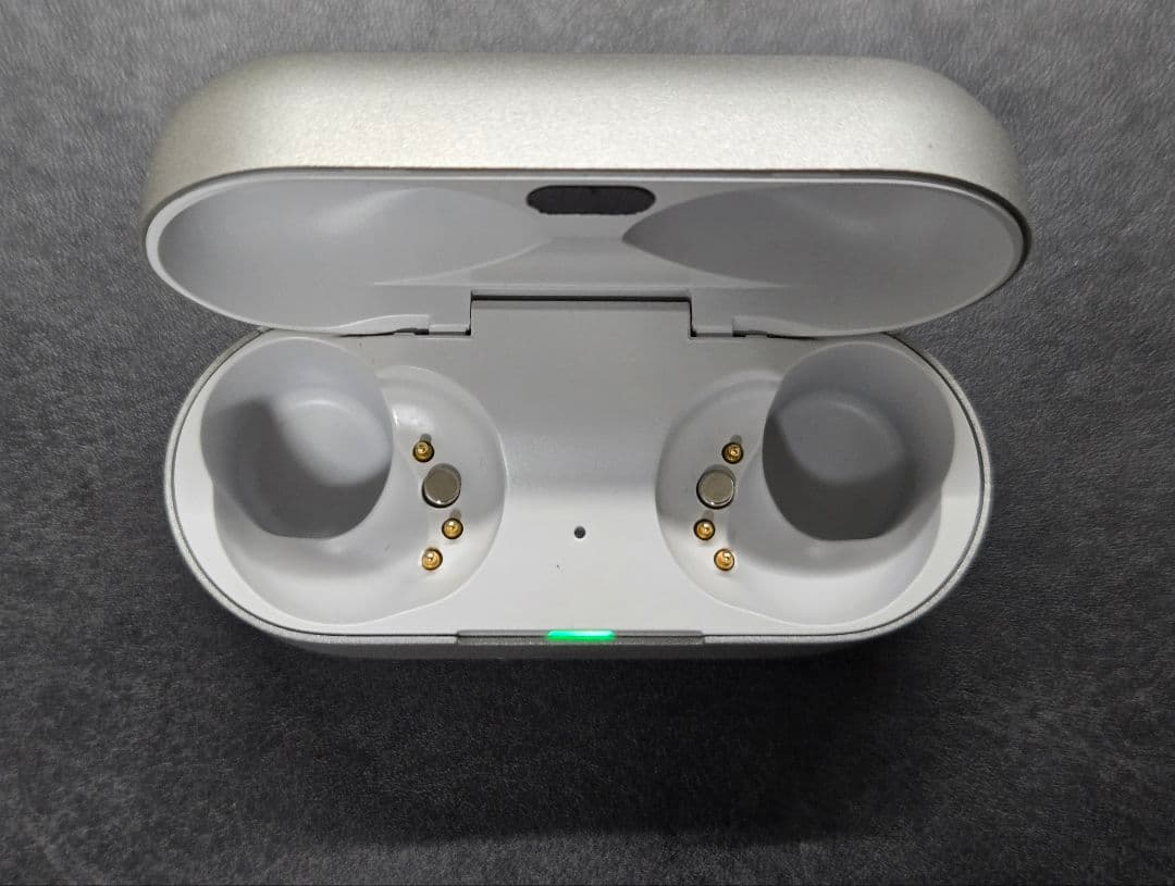 美品 Technics EAH-AZ80 シルバー 充電ケースのみ
