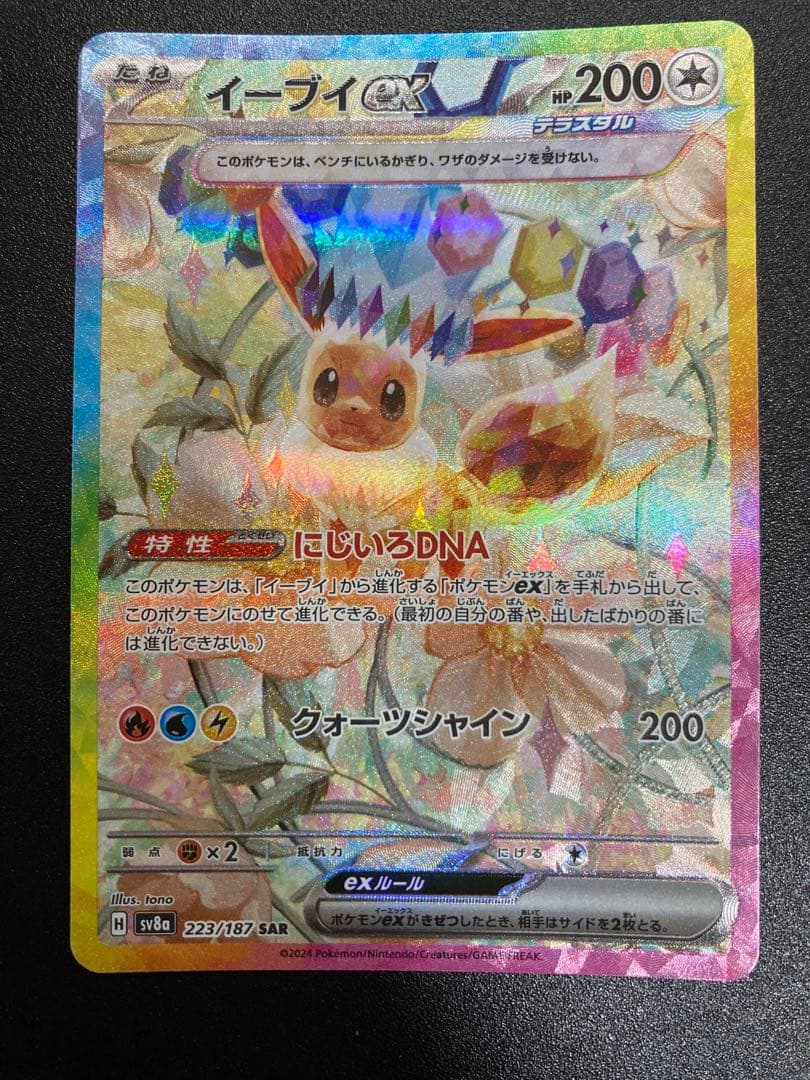 ブイズSAR テラスタルフェスex
