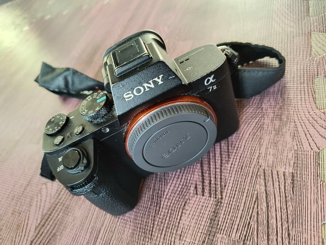 難有/ジャンク　SONY α7 II ミラーレス一眼カメラ