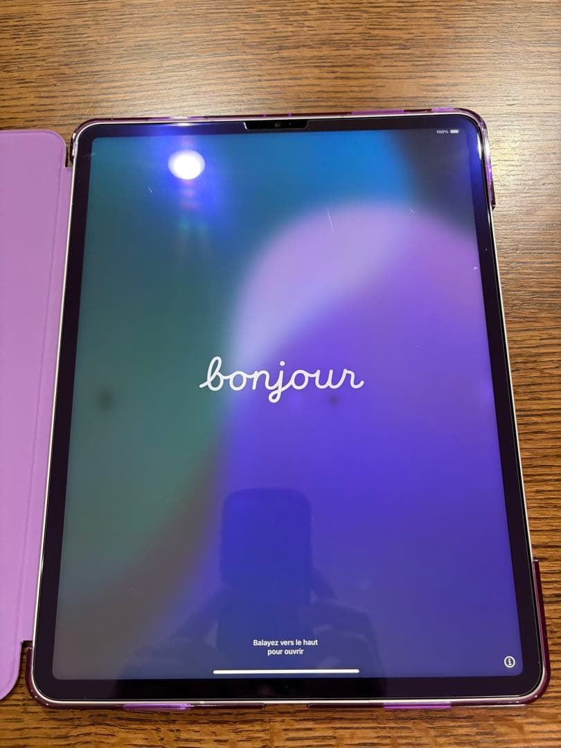 iPad Pro 12.9 512GB 第5世代　Wi-Fi+Cellular