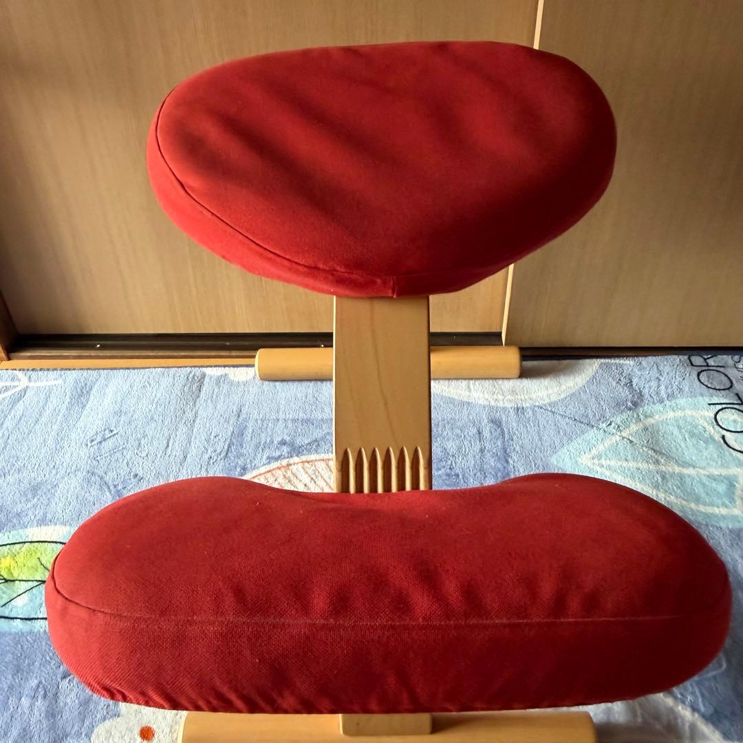 Rybo リボ バランスイージー バランスチェア 通常フレーム　カバー付き